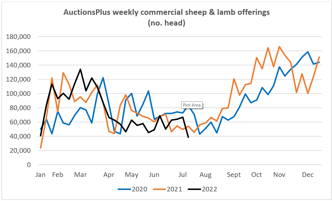 Auctionsplus market comments sheep and lamb chart 15.7.22