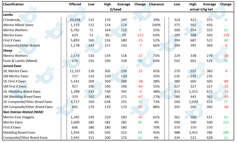 Auctionsplus market comments sheep and lamb table 24.6.22