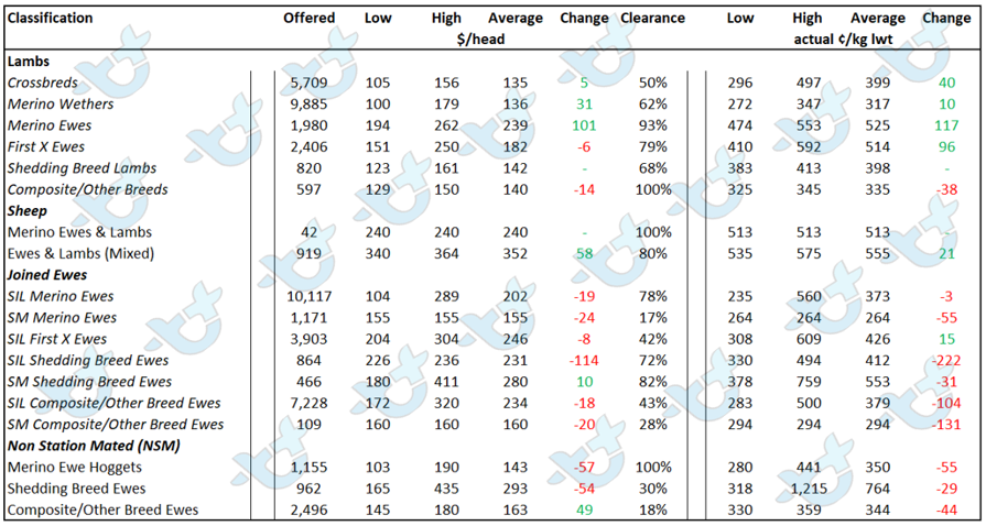 Auctionsplus market comments sheep and lamb table 8.7.22