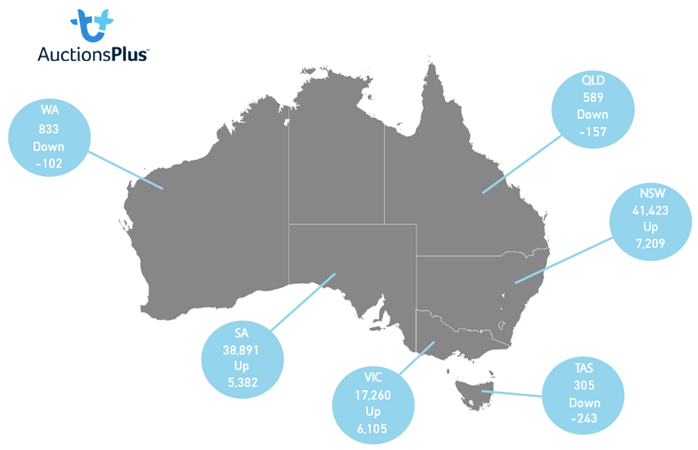 Auctionsplus market comments sheep state map 28.10.22