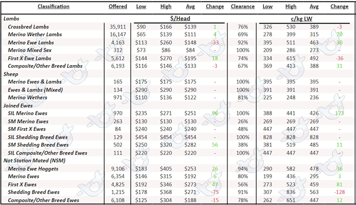 Auctionsplus market comments sheep table 28.10.22-1