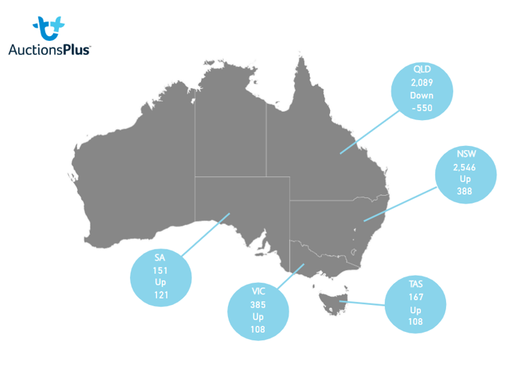 Auctionsplus market comments state map 19.8.22