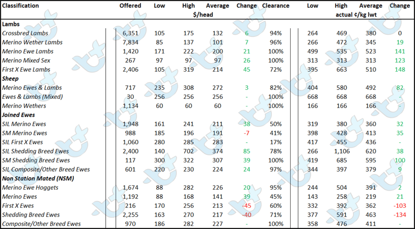 Auctionsplus market comments table 1 26.8.22 2