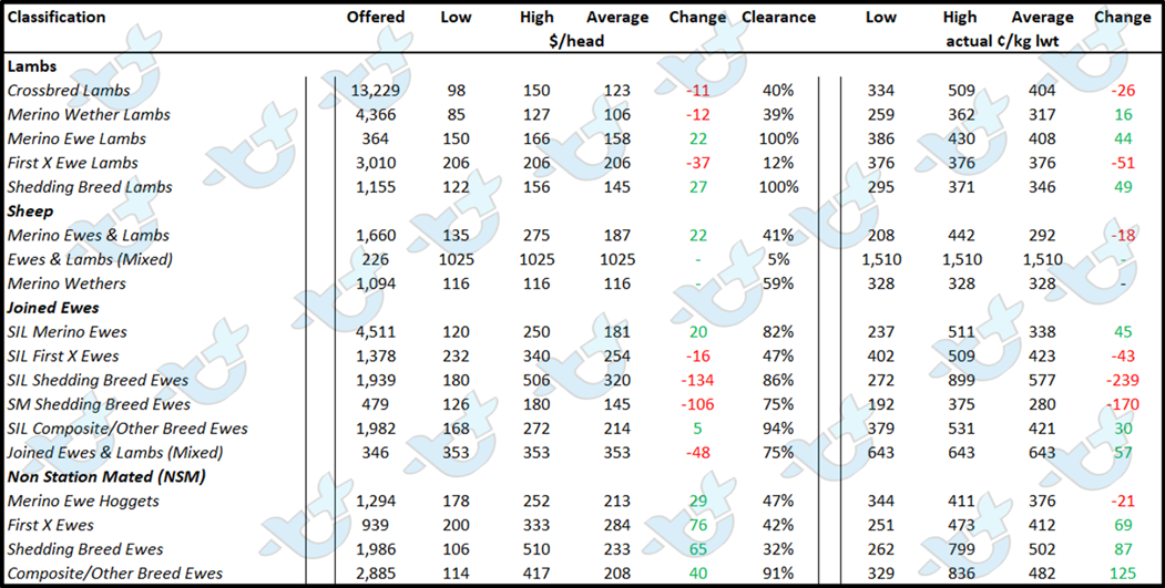 Auctionsplus market comments table 1 sheep 5.8.22