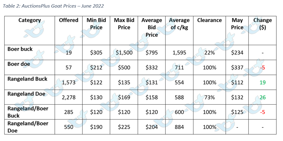 Auctionsplus market comments table 2 goat June 6.7.22
