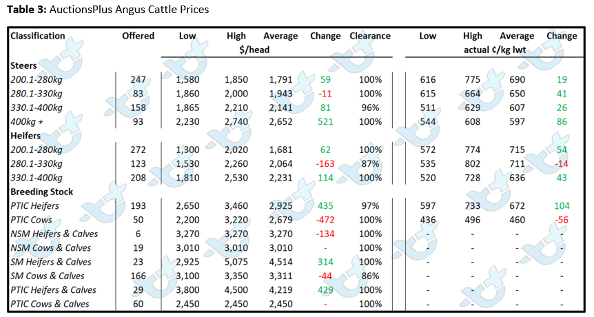 Auctionsplus market comments table 3 angus cattle 12.8.22