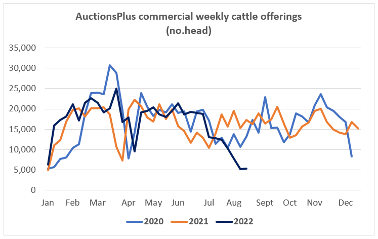 Auctionsplus market comments weekly cattle chart 19.8.22