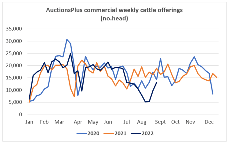 Auctionsplus market comments weekly cattle offering 2.9.22