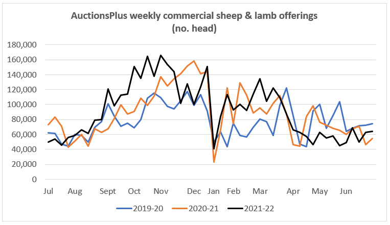 Auctionsplus market comments weekly commercial sheep and lamb offering 24.6.22