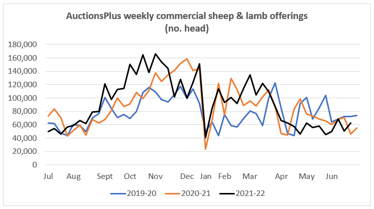 Auctionsplus market comments weekly commerical sheep and lamb offerings 17.6.22