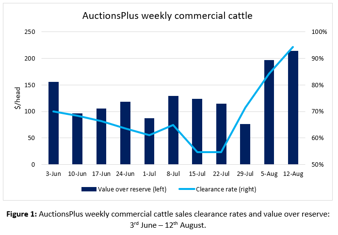 Auctionsplus market pulse weekly commercial cattle 12.8.22