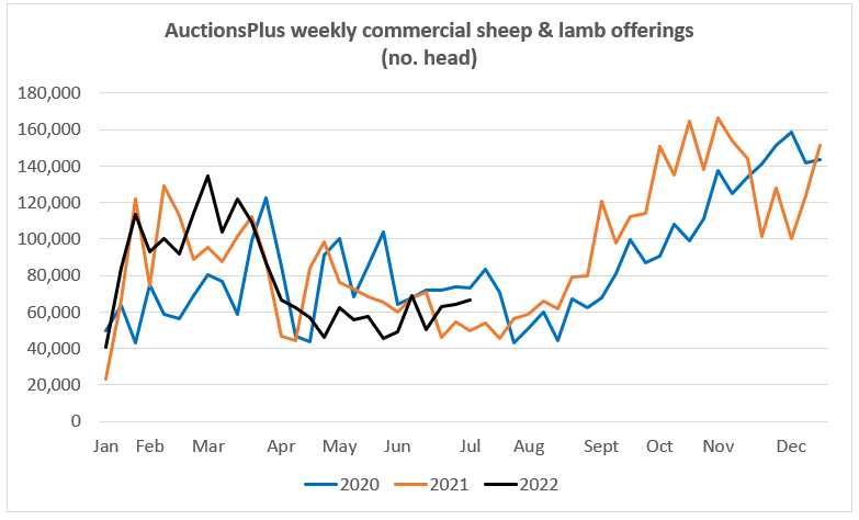 Auctionsplus marketcomments weekly commercial sheep and lamb offerings 11.7.22