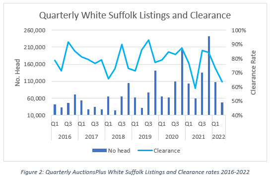 Auctionsplus marketpulese quarterly white suffolk lstings and clearance 29.6.22