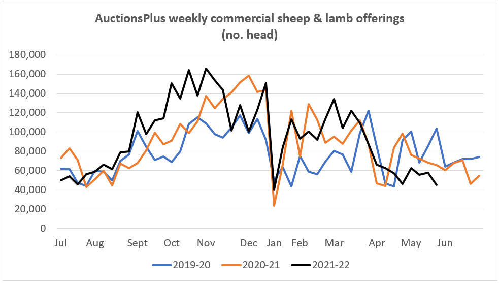 Auctionsplus marketpulse 20.5.22 weekly commercial sheep and lamb offerings (no of head)