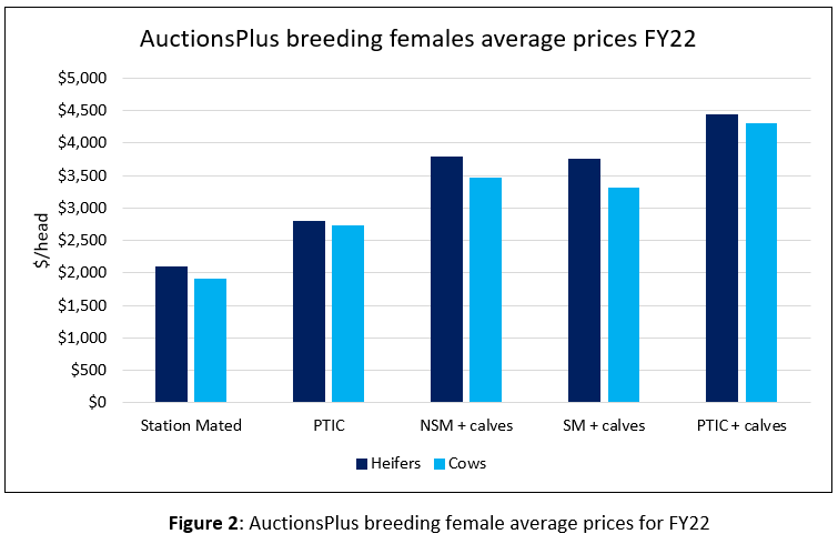 Auctionsplus marketpulse Commercial Cattle prices fig 2 21.7.22