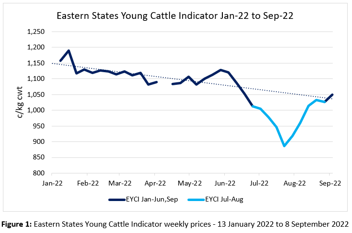 Auctionsplus marketpulse Eastern States Young Cattle Indicator Jan-22 to Sep-22 15.9.22