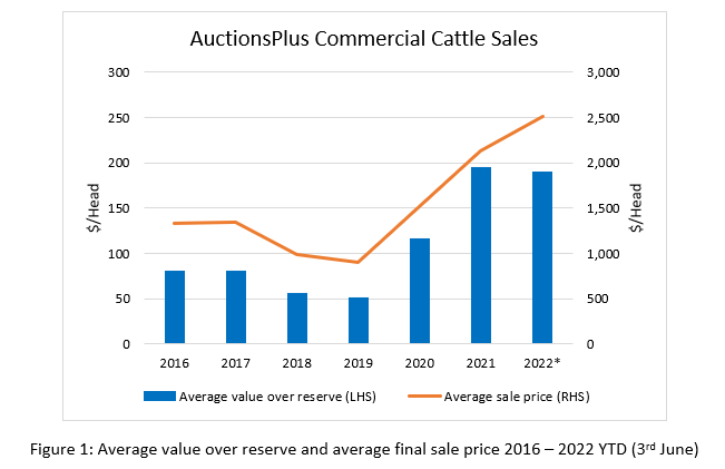 Auctionsplus marketpulse commercial cattle sales 9.6.22