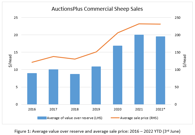 Auctionsplus marketpulse commercial sheep sales fig 1-1