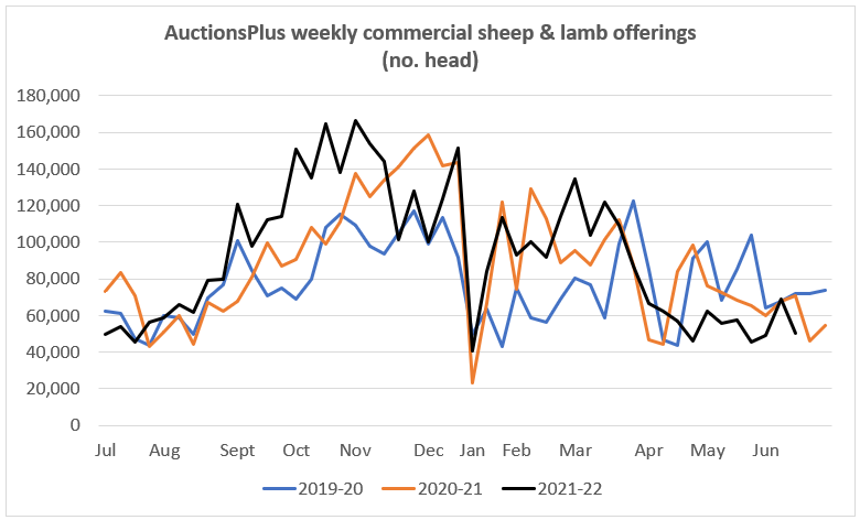 Auctionsplus marketpulse commerical sheep and lamb oferings 10.6.22