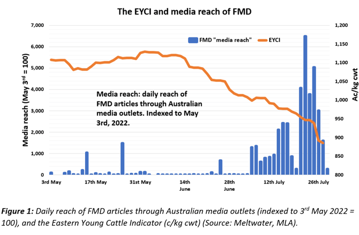 Auctionsplus marketpulse eyci and media 28.7.22