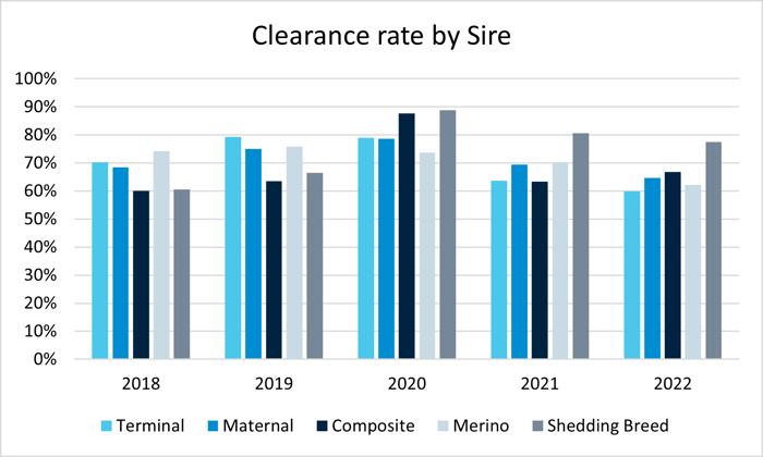 Auctionsplus marketpulse lamb clearance rate sire chart 9.8.22