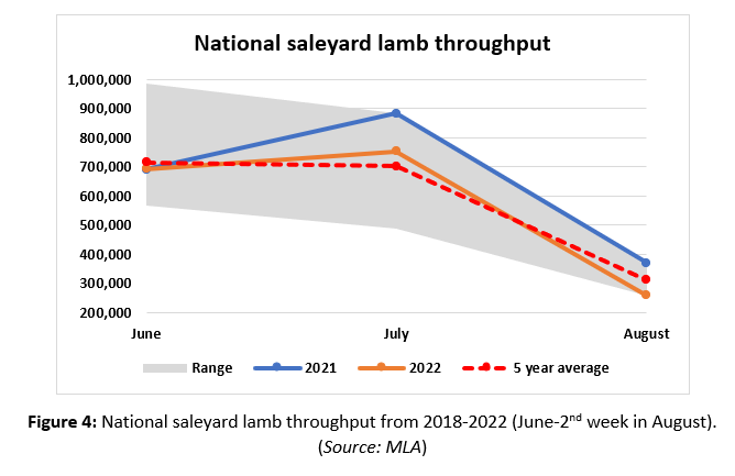 Auctionsplus marketpulse national saleyard lamb throughput 19.8.22