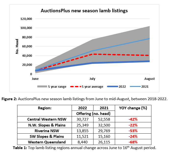 Auctionsplus marketpulse new season lamb listings 19.8.22