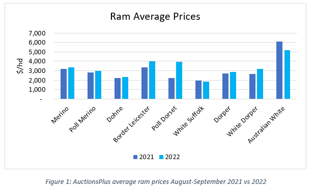 Auctionsplus marketpulse ram average prices 30.9.22