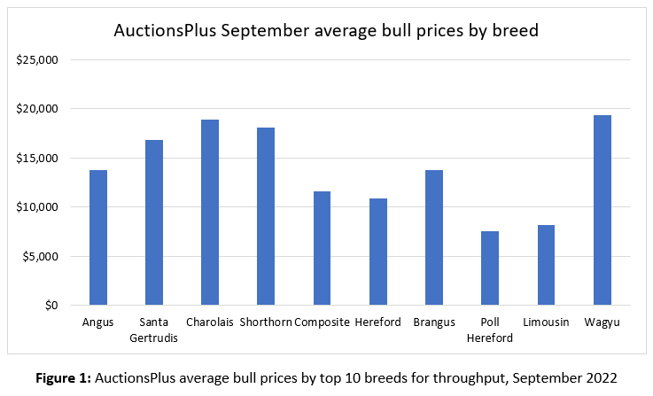 Auctionsplus marketpulse september average bull prce fig 1 4.10.22