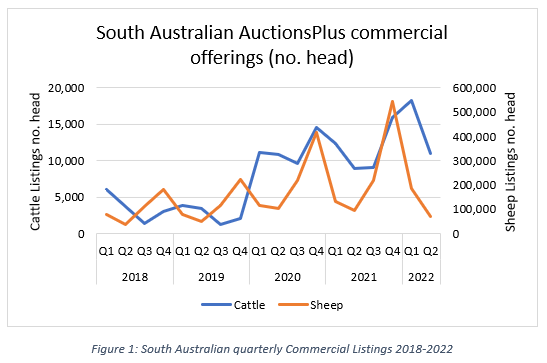 Auctionsplus marketpulse south australian auctionsplus commercial offering 23.6.22