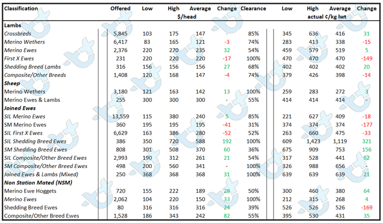 Auctionsplus marketpulse table one sheep 10.6.22