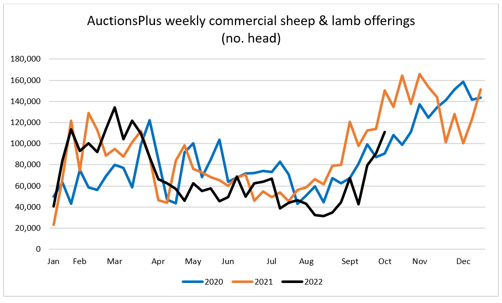 Auctionsplus marketpulse weekly commercial sheep and lamb offerings 7.10.22