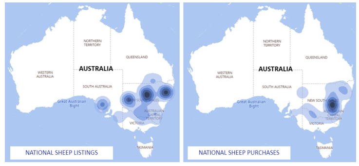 Auctionsplus nationa sheep listing and purchases 24.8.22