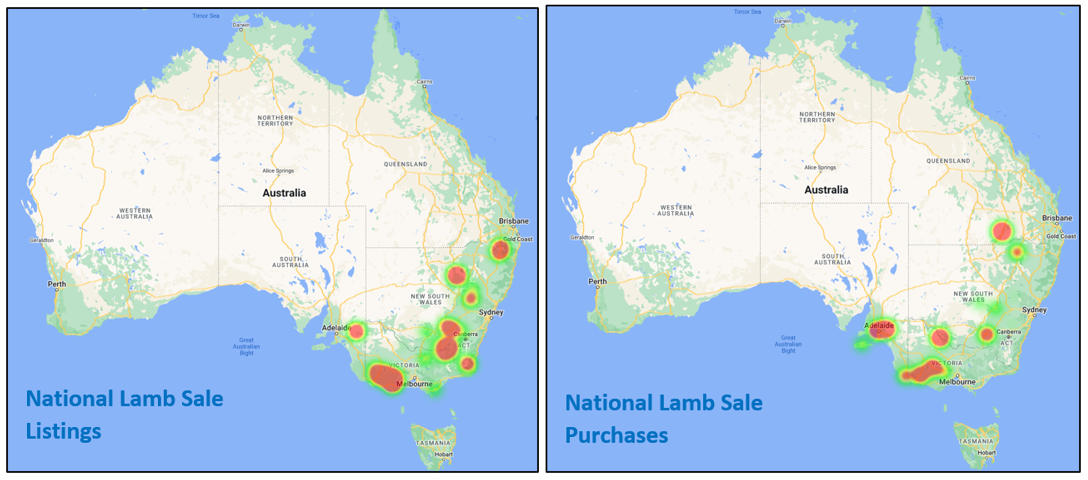 Auctionsplus national lamb listing and purchase 15.7.22