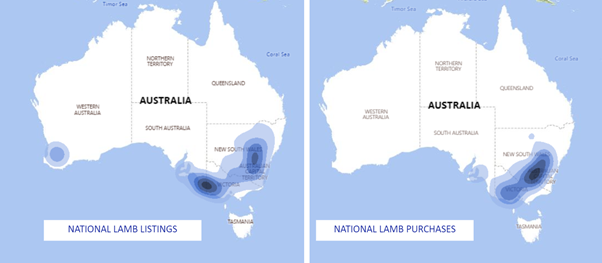 Auctionsplus national lamb listing and purchases 9.12.22-1