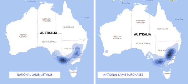 Auctionsplus national lamb listings 23.11.22