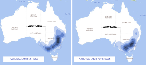 Auctionsplus national lamb listings national lamb purchases 25.1.23