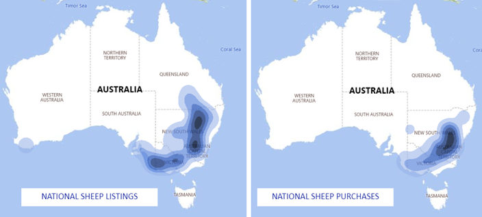 Auctionsplus national sheep listing jan 18