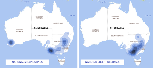 Auctionsplus national sheep listings and purchases 9.12.22