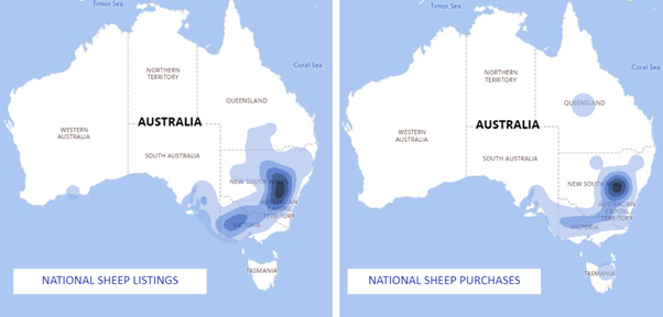 Auctionsplus national sheep purchases 23.11.22