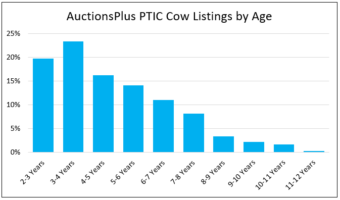 Auctionsplus ptic cow listing by age 15.12.22