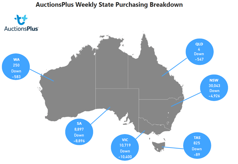 Auctionsplus purchase breakdown purchasing  sheep state map 4.11.22