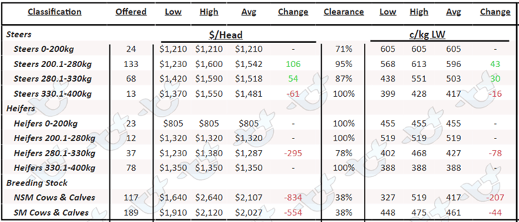 Auctionsplus queensland cattle price table 27.1.23