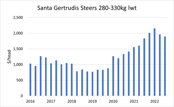 Auctionsplus santa gertrudis steers marketpulse breed breakdown 3.11.22