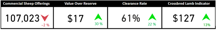 Auctionsplus sheep and lamb comments snapshot 16.12.22