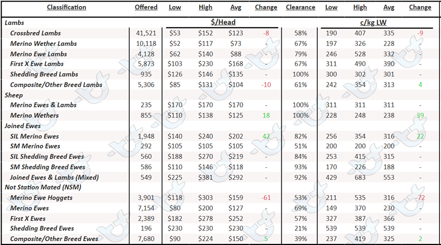 Auctionsplus sheep and lamb table 13.1.23
