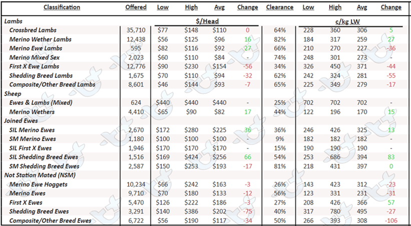 Auctionsplus sheep and lamb table 27.1.23