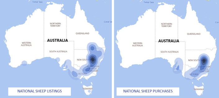 Auctionsplus sheep purchases and listings 1.2.23