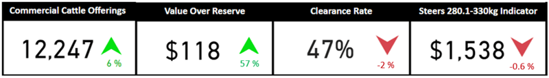 Auctionsplus snapshot cattle 20.1.23