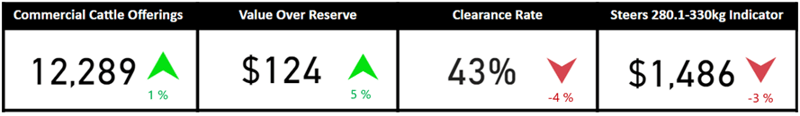 Auctionsplus snapshot cattle 27.1.23